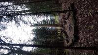 IMG_20221229_144049 (576x1024).jpg